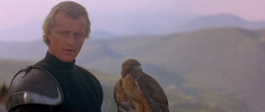 Ladyhawke 5
