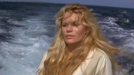 Never say never again 4