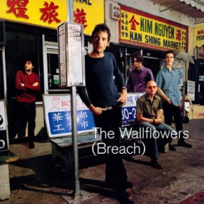 breach cover